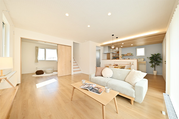 開放的なスキップフロアの吹抜付きプラン