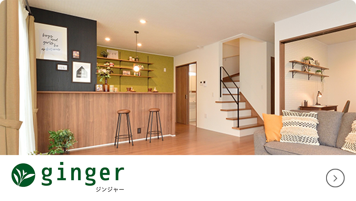 ginger ジンジャー