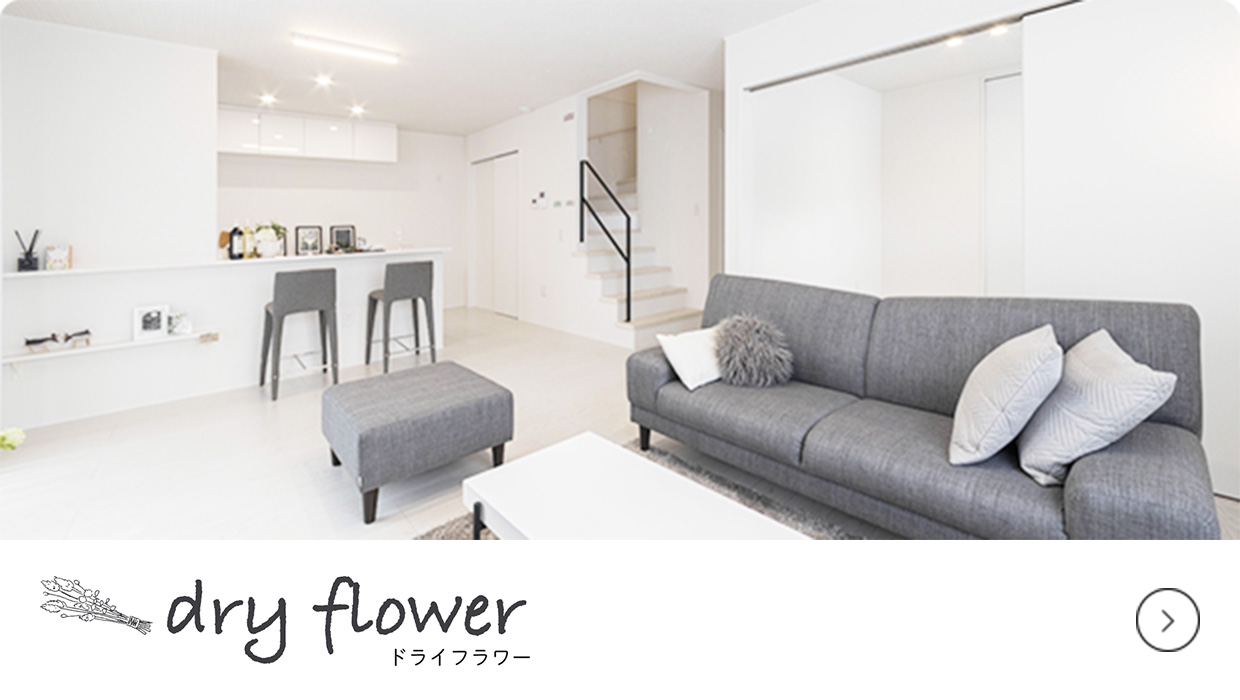 dry flower ドライフラワー