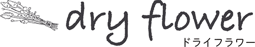 dry flower ドライフラワー