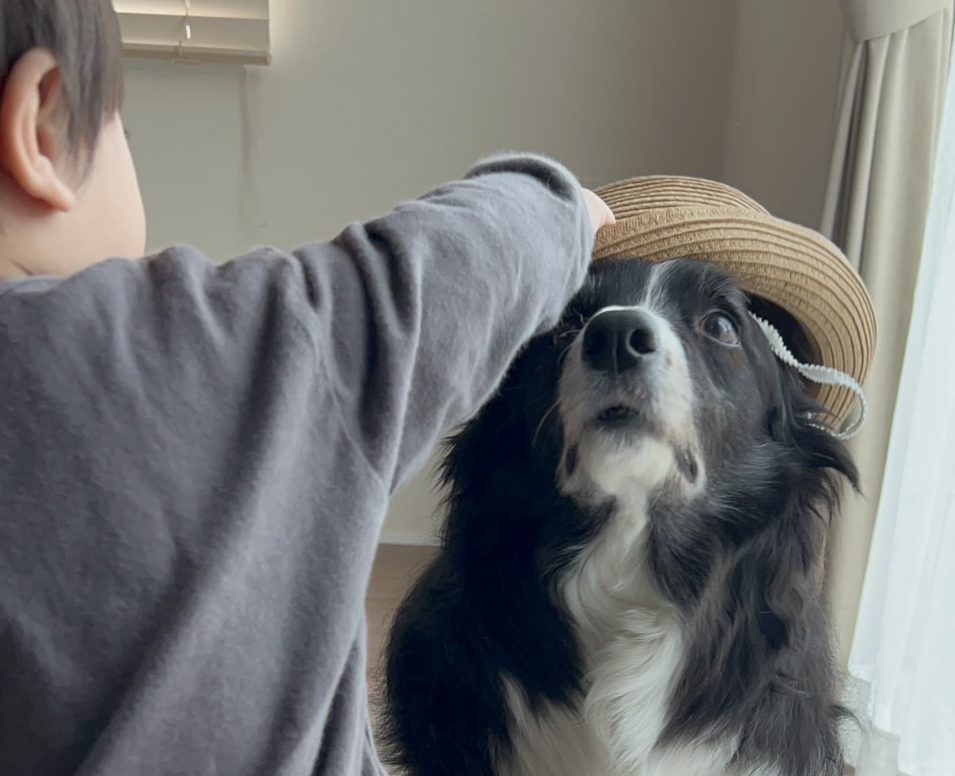 新築住宅だけではない、社内の雰囲気を少しご紹介します