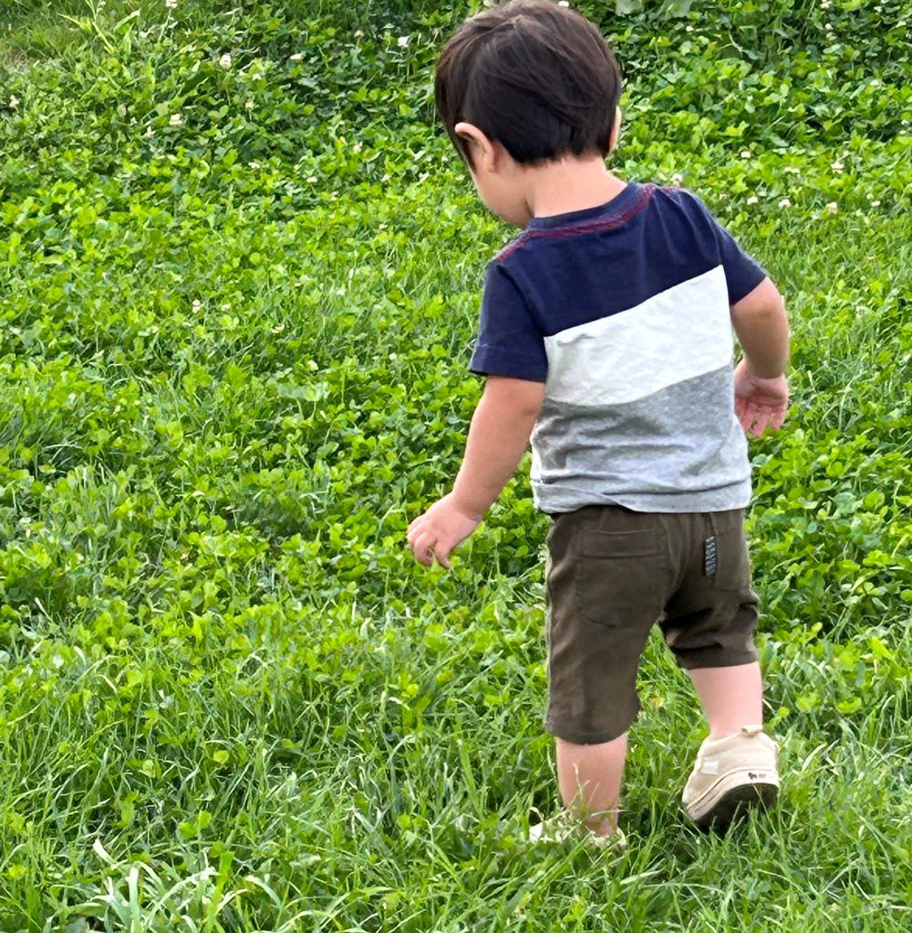 新築住宅を建てる前、土地選びの注意点。