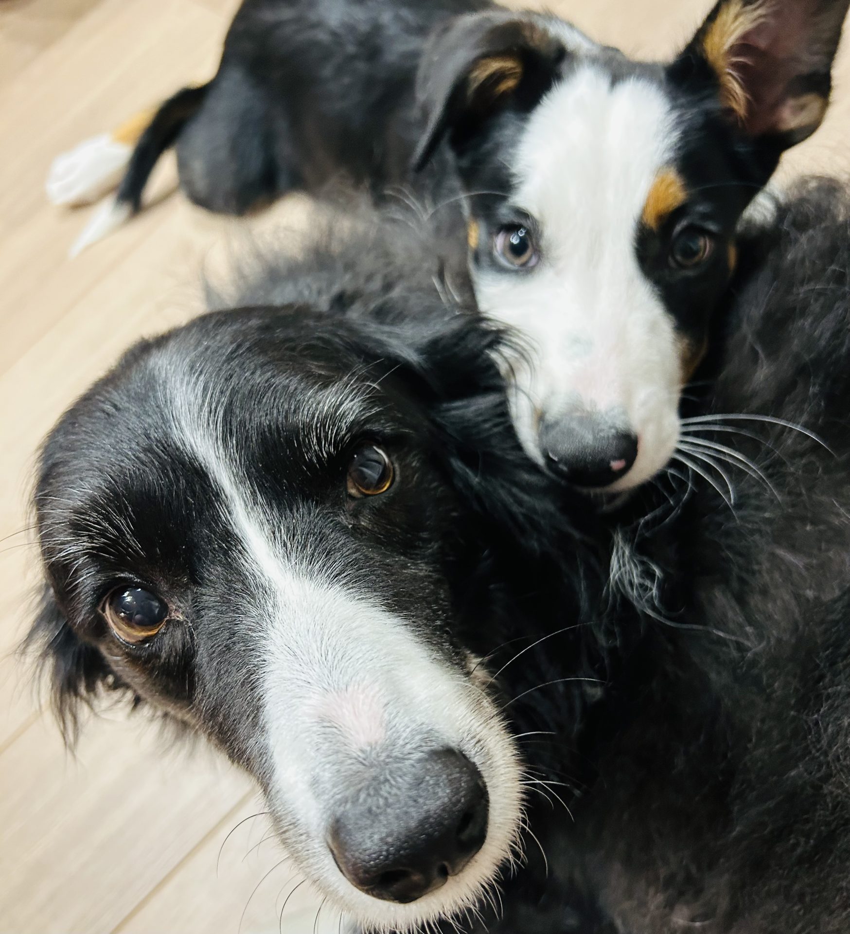 家づくりは楽しく、建てた後の暮らしはもっと楽しくないと。