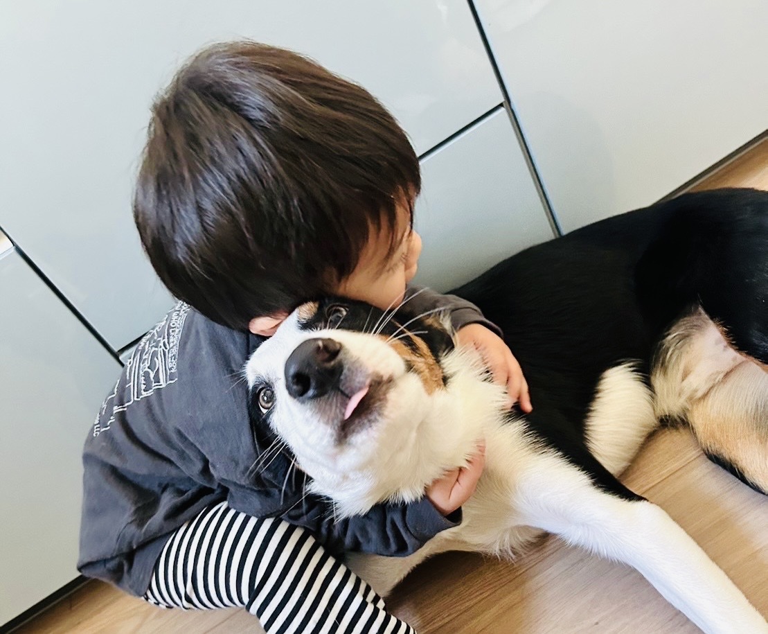 “安心”がなによりです!