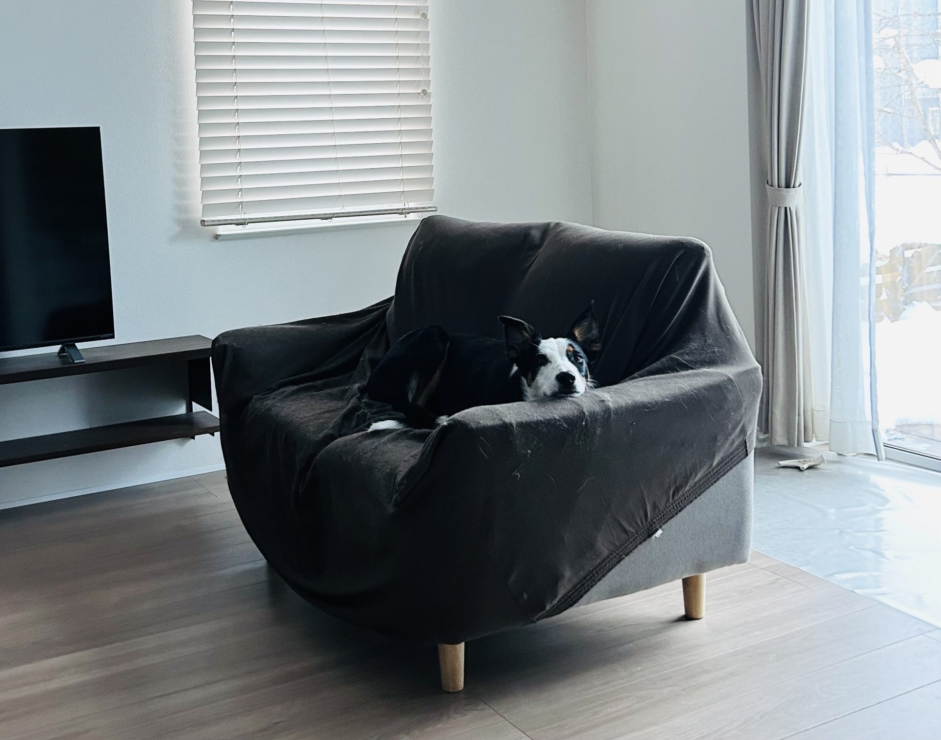 旧ラクイエ仕様の光熱費