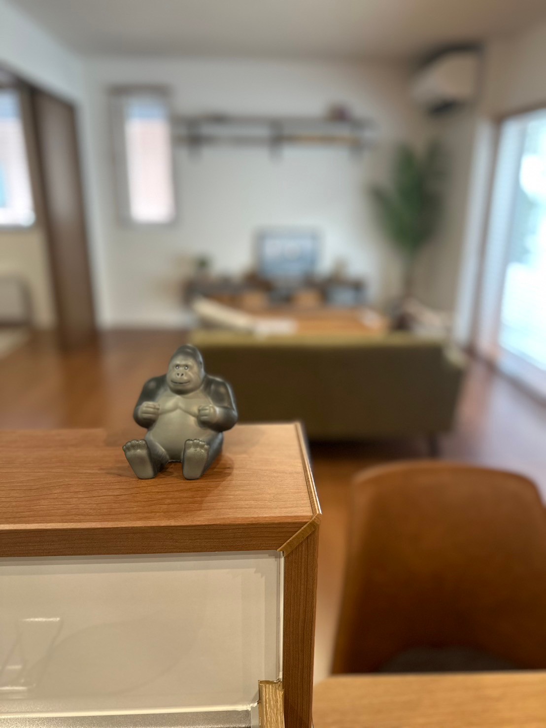 新しいモデルハウスオープン予定✨