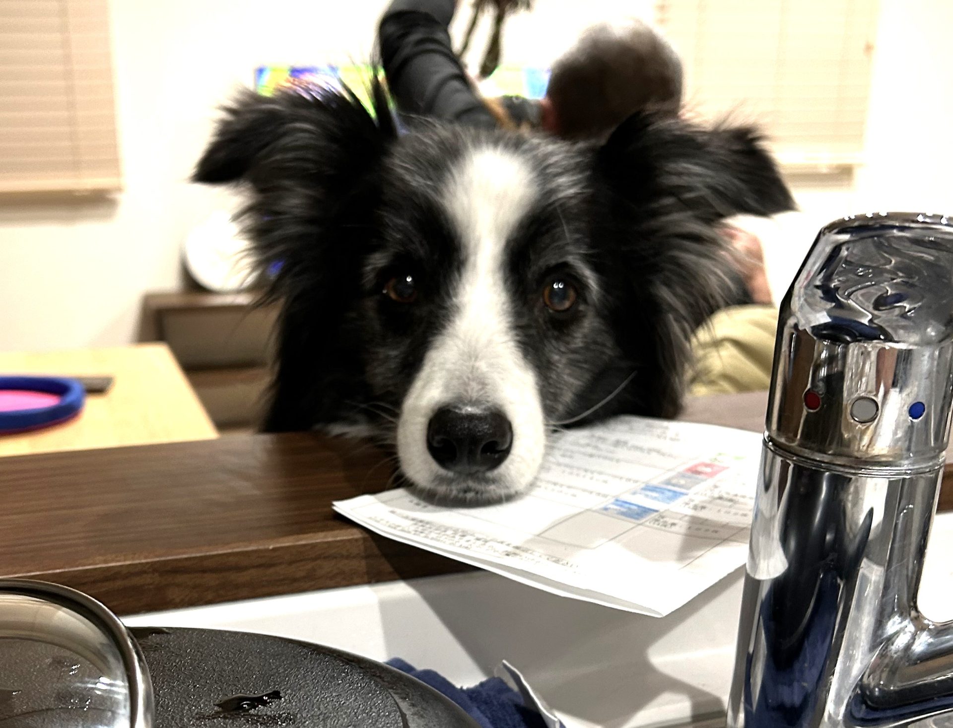 新築を建てて良かった10のコト。