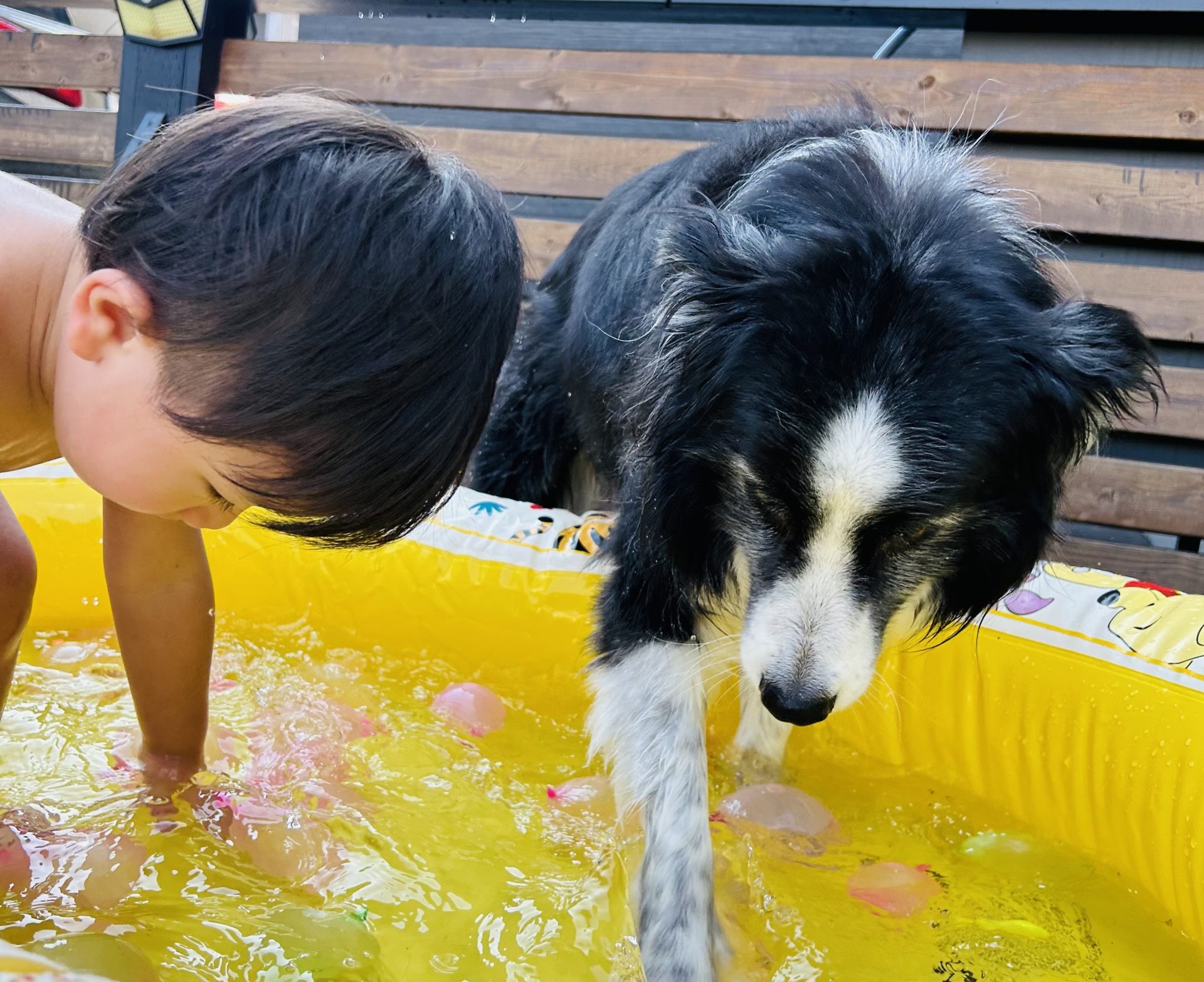 マイホームの庭が良い訳