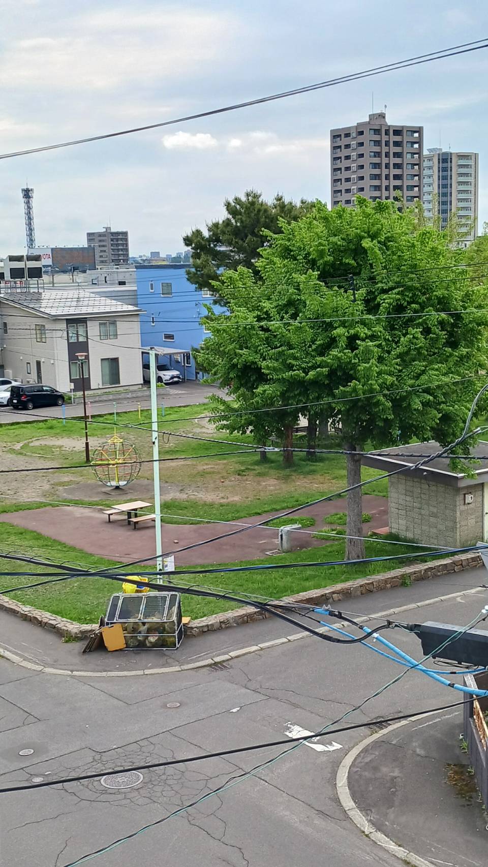 我が家近くの公園