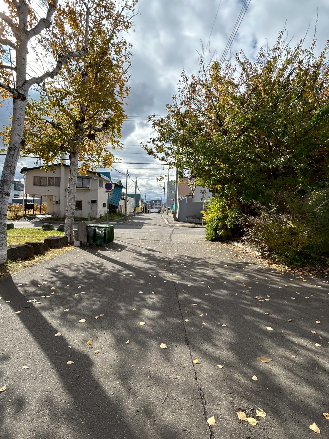 前面道路です！